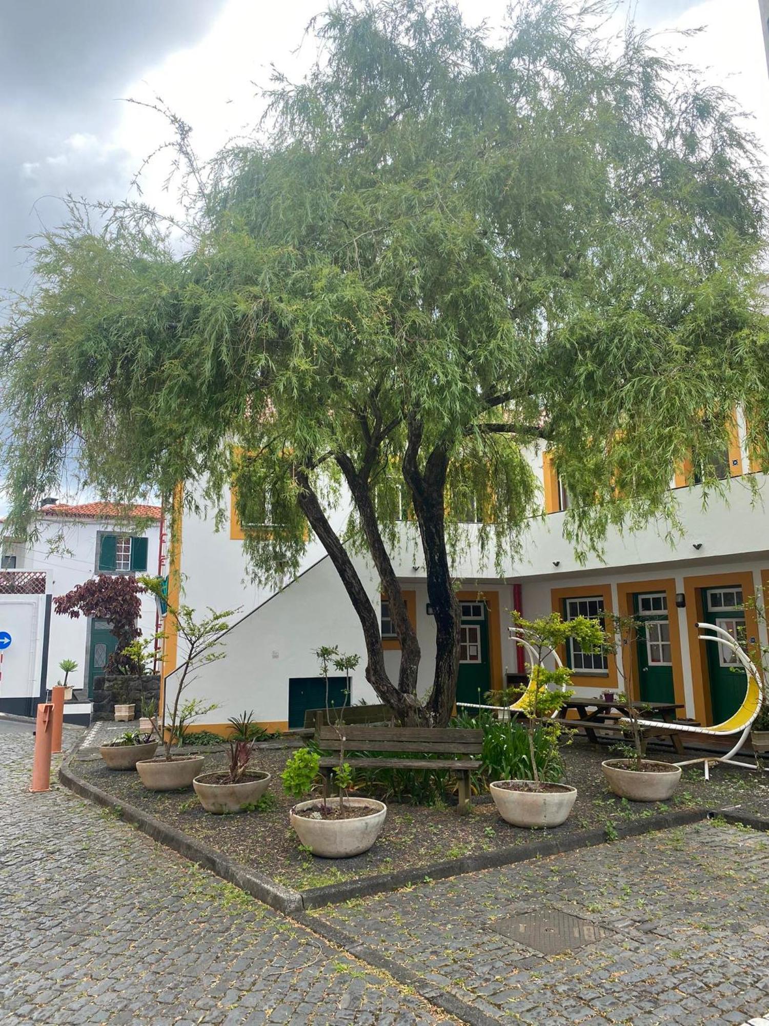 Hospedaria Verdemar Horta  Exterior foto